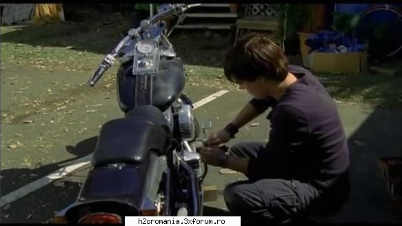 Galerie Foto - *Fan*Cariba* - Burgess Abernethy/Zane Bennet
